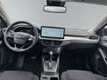 Ford Focus Turnier 1,0 EcoBoost Hybrid Titanium X Aut. Schwarz - thumbnail 11