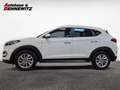 Hyundai TUCSON Style 2,0 CRDi 4WD MT Weiß - thumbnail 2