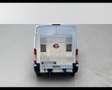 Ford Transit 290 2.0TDCi EcoBlue 130CV PM-TM Furgone Trend Blanc - thumbnail 5