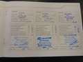 Kia Stonic Platinum Edition / Kamera / SH /Leder Rood - thumbnail 24