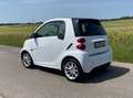 smart forTwo smart fortwo coupe coupe softouch passion micro hy Weiß - thumbnail 2