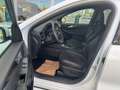 Ford Kuga Hybrid ST-Line X Blanc - thumbnail 12