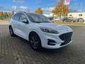 Ford Kuga Hybrid ST-Line X Blanc - thumbnail 3