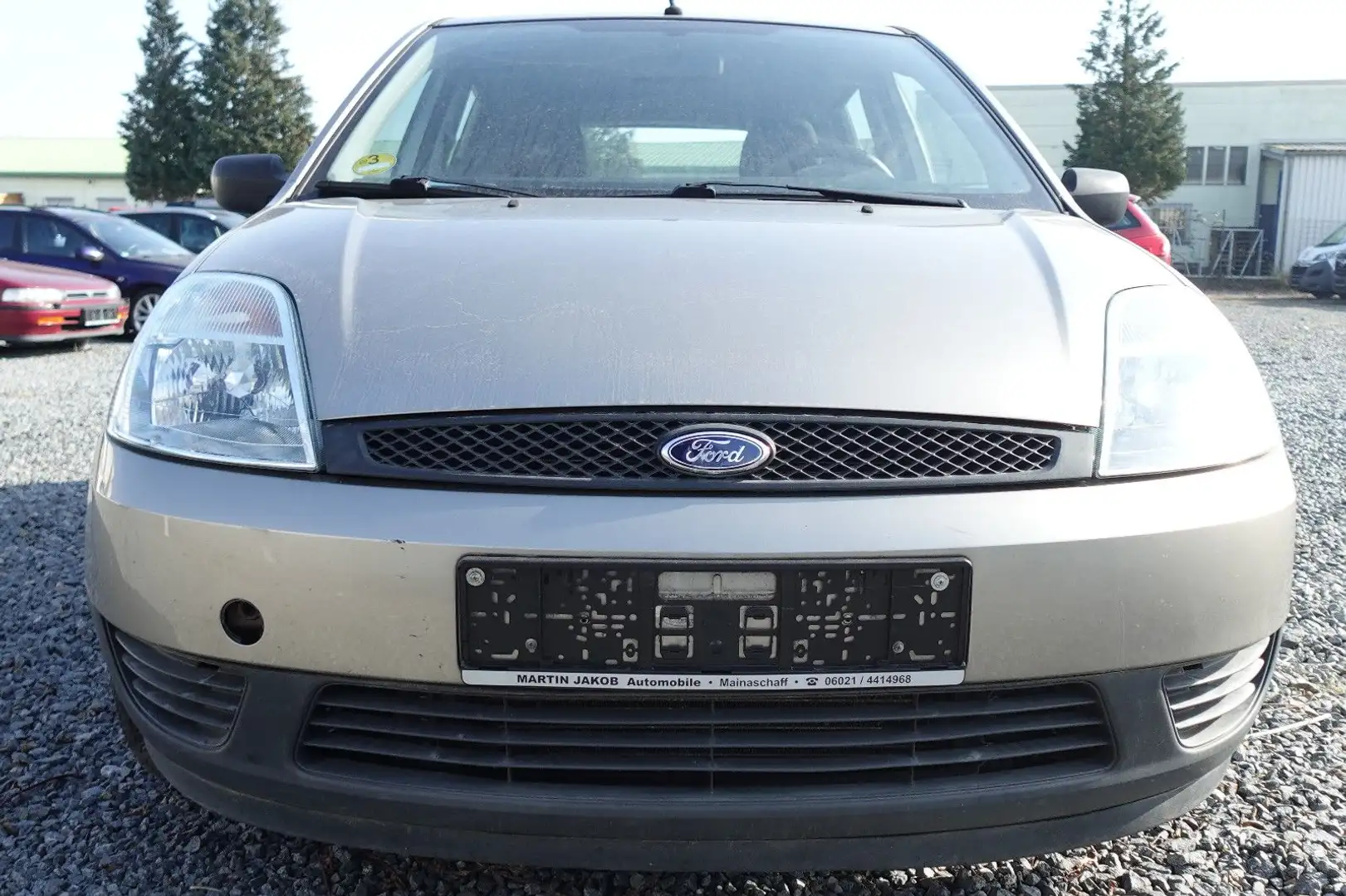 Ford Fiesta Ambiente Grigio - 2