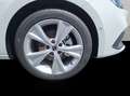 SEAT Leon FR 1.0 TSI Pano / Navi / Beats / Voll-LED Alb - thumbnail 24