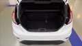 Ford Fiesta 5p 1.5 tdci ST-Line 75cv NEOPATENTATI Blanc - thumbnail 7