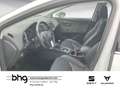 SEAT Leon 1.4 TSI Xcellence Weiß - thumbnail 8