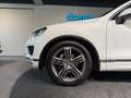 Volkswagen Touareg 3,0 TDI Aut. / R LINE / LUFT / PANO / AHK / Weiß - thumbnail 9
