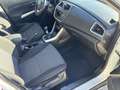 Suzuki SX4 S-Cross 1,6 DDiS Allgrip Weiß - thumbnail 16