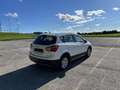 Suzuki SX4 S-Cross 1,6 DDiS Allgrip Weiß - thumbnail 6