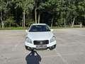 Suzuki SX4 S-Cross 1,6 DDiS Allgrip Weiß - thumbnail 9