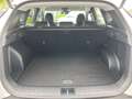 Hyundai TUCSON 1.6 T-GDI HEV *V-LED*NSCC*KAM*SHZ*NAVI* Weiß - thumbnail 14