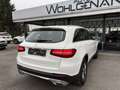 Mercedes-Benz GLC 250 d 4Matic (253.909) Weiß - thumbnail 6