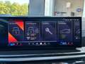 BMW X6 xDrive30d Blau - thumbnail 11