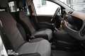Fiat Panda 0.9 TwinAir Turbo Natural Power Pop Van 2 posti Bianco - thumbnail 15