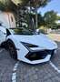 Lamborghini Revuelto Revuelto 6.5 V12 -  PREZZO NETTO Blanc - thumbnail 6