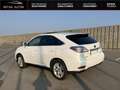 Lexus RX 450h 450h 4WD Pack Président Blanc - thumbnail 3