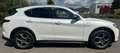 Alfa Romeo Stelvio Veloce Q 4 Weiß - thumbnail 7