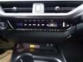 Lexus UX 250h F-Sport Design 1.4kWh Aut. FLA KAM Blau - thumbnail 20