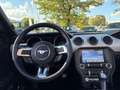 Ford Mustang 5.0 V8 GT Convertible XENON*SHZ*SITZKLIMA Piros - thumbnail 13