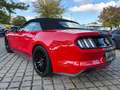 Ford Mustang 5.0 V8 GT Convertible XENON*SHZ*SITZKLIMA Piros - thumbnail 12