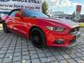 Ford Mustang 5.0 V8 GT Convertible XENON*SHZ*SITZKLIMA Piros - thumbnail 9