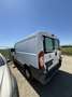 Fiat Ducato GR-Panorama 33 L2H2 2,2 JTD 100 - thumbnail 2