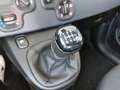Fiat Panda 4x2 FireFly Hybrid 70 Weiß - thumbnail 16