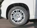 Fiat Panda 4x2 FireFly Hybrid 70 Weiß - thumbnail 11