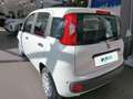 Fiat Panda 4x2 FireFly Hybrid 70 Weiß - thumbnail 7