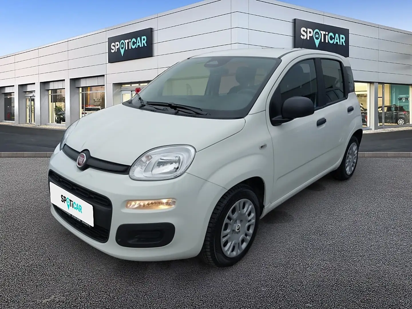 Fiat Panda 4x2 FireFly Hybrid 70 Weiß - 1