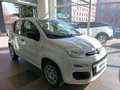 Fiat Panda 4x2 FireFly Hybrid 70 Weiß - thumbnail 3