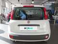 Fiat Panda 4x2 FireFly Hybrid 70 Weiß - thumbnail 5