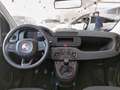 Fiat Panda 4x2 FireFly Hybrid 70 Weiß - thumbnail 8