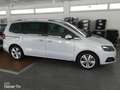 SEAT Alhambra Alhambra 2.0 tdi cr Xcellence 150cv dsg Bianco - thumbnail 6