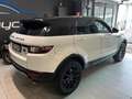 Land Rover Range Rover Evoque 2.0 TD4 150 CV 5p. HSE Bianco - thumbnail 3
