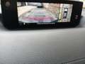 Mazda MX-30 MX-30 35.5 kWh e-SKYACTIV Skycruise Gris - thumbnail 6