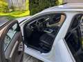 Audi A4 Avant 2.0 TDI S-Line Weiß - thumbnail 6