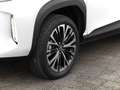 Toyota Yaris Cross Style Plus 1.5-Hybrid NAVI SHZ PDC Blanc - thumbnail 12