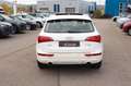 Audi Q5 3.0 TDI DPF S tronic quattro Navi_Leder_Pano Blanc - thumbnail 6