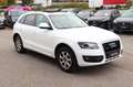 Audi Q5 3.0 TDI DPF S tronic quattro Navi_Leder_Pano Blanc - thumbnail 3