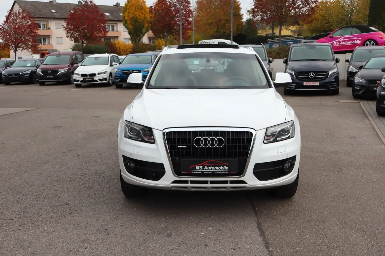 Audi Q5 3.0 TDI DPF S tronic quattro Navi_Leder_Pano Blanc - 2