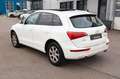 Audi Q5 3.0 TDI DPF S tronic quattro Navi_Leder_Pano Blanc - thumbnail 7