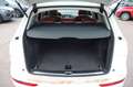 Audi Q5 3.0 TDI DPF S tronic quattro Navi_Leder_Pano Blanc - thumbnail 15