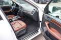 Audi Q5 3.0 TDI DPF S tronic quattro Navi_Leder_Pano Blanc - thumbnail 12