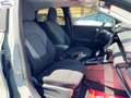 Ford Puma 1.0 EcoB. Hyb. 125 CV S&S aut. Tit. - thumbnail 22