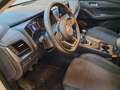 Nissan Qashqai Qashqai III 2021 1.3 mhev Business 2wd 140cv Bianco - thumbnail 6