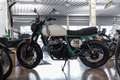 Royal Enfield Bear 650 neues Modell 2025, sofort lieferbar Alb - thumbnail 4