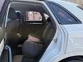 Audi Q3 Q3 2.0 tdi Business Plus quattro 177cv s-tronic Bianco - thumbnail 9