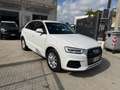 Audi Q3 Q3 2.0 tdi Business Plus quattro 177cv s-tronic Bianco - thumbnail 1